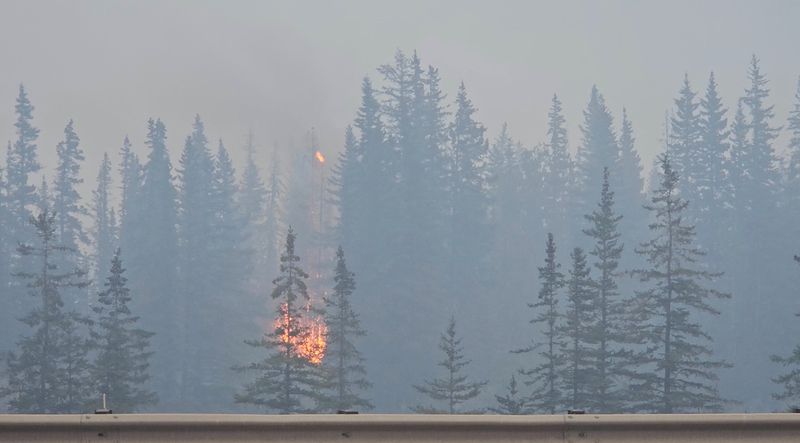 Canada wildfire reaches Jasper, firefighters work to protect Trans Mountain oil pipeline