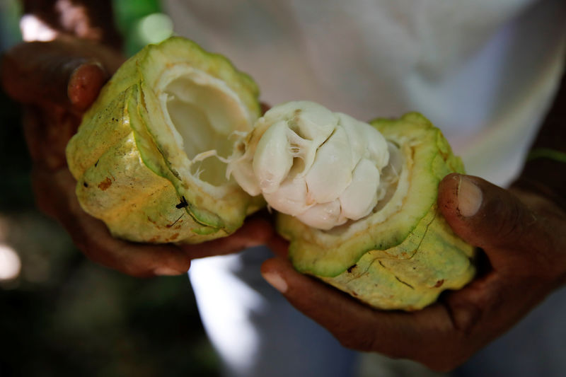 Cocoa prices hit record high amid supply concerns