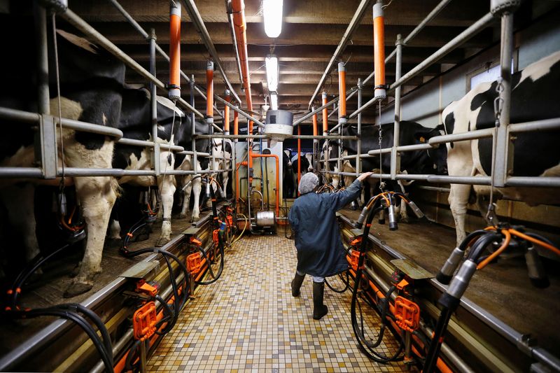 EU challenges China's dairy product probe at WTO