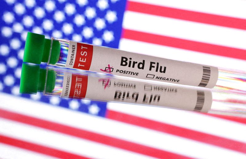 Exclusive-State and industry input led US farm agency to relax bird flu testing order for cows