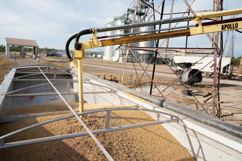 Speedy US corn and soy harvests strain farmers, storage capacity