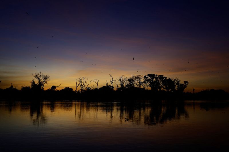 Methane from tropical wetlands is surging, threatening climate plans