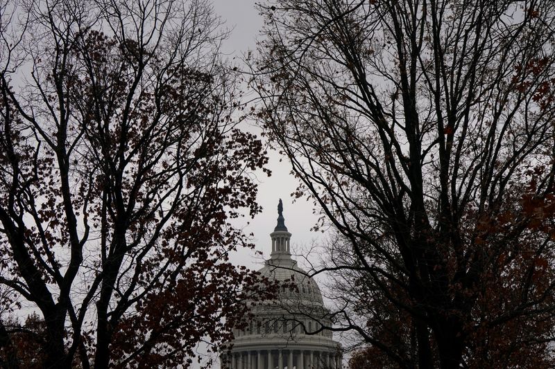 US Senate panel to hold hearings on Trump energy picks next week