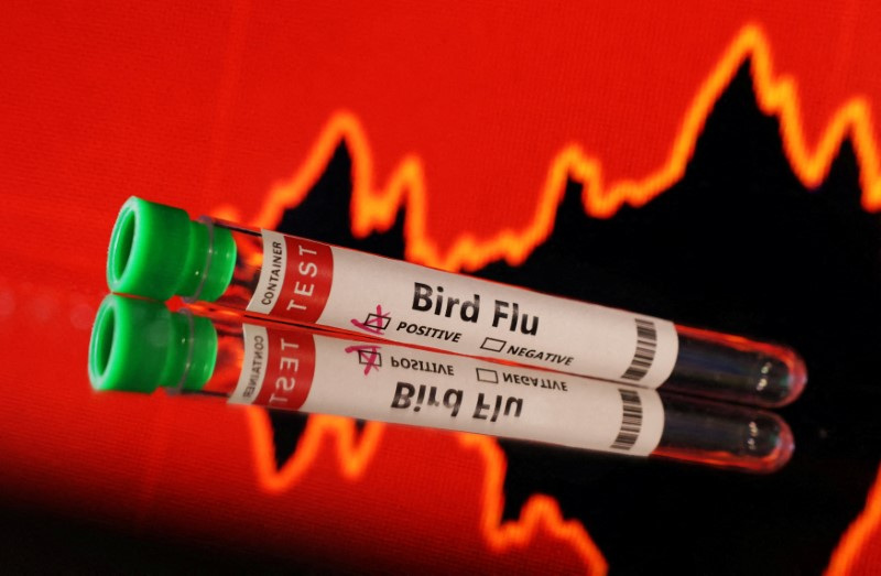 US to expand bird-flu testing of beef in slaughterhouses