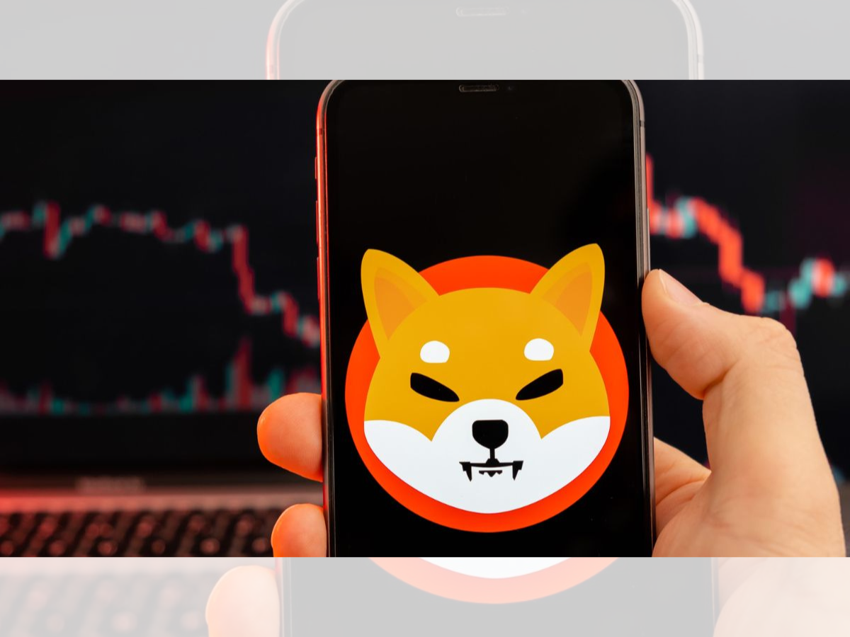 Shiba Inu (SHIB) millionaire reveals three 100x microcaps