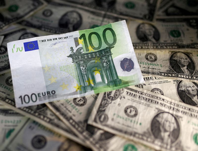 Analysis-Euro's bruising leaves global investors on edge