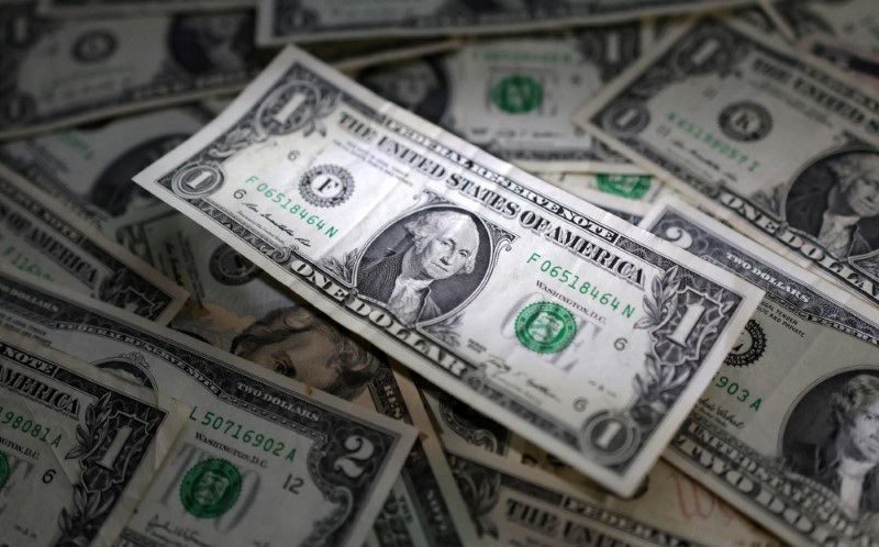 Dollar rises on reassuring data, euro slips