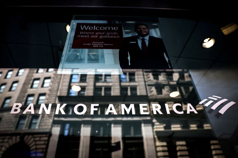 Bank of America hires JPMorgan's Tim Carpenter to co-lead software investment banking, source says