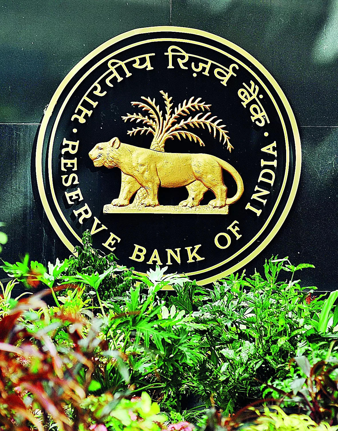 Banks need to look beyond bulk deposits to fund loans: RBI