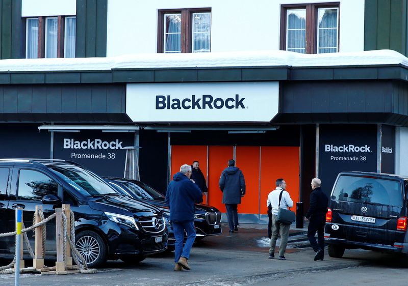 BlackRock in talks about a strategic tie-up with Millennium - sources