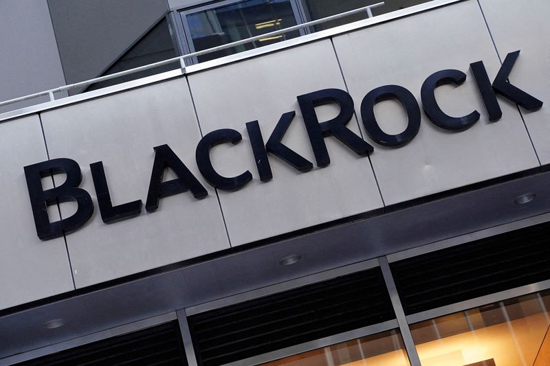 BlackRock in talks to buy minority stake in Millennium, sources say