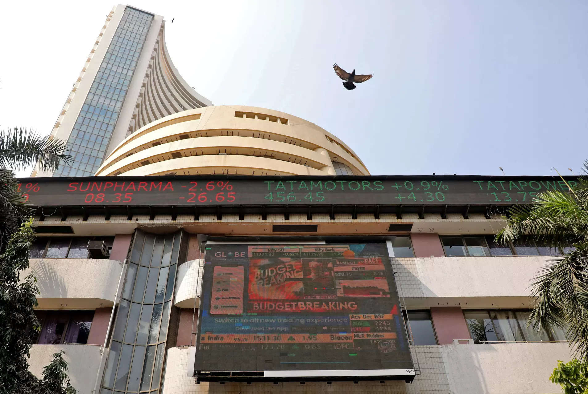 Bulls in action! RIL, private banks drive Sensex 500 points higher