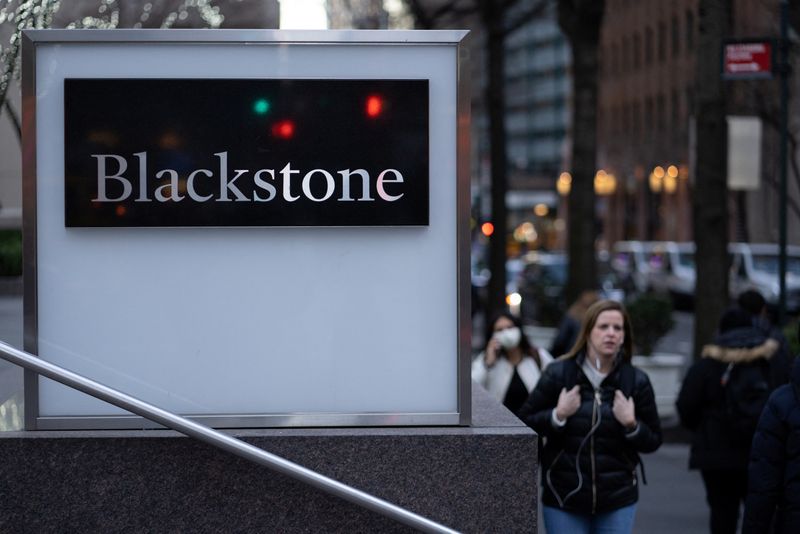 Exclusive-Blackstone in advanced talks to acquire shopping center owner Retail Opportunity, sources say