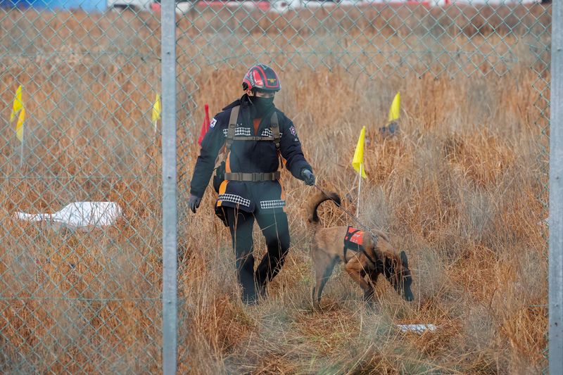 South Korea orders airline safety probe after worst domestic crash kills 179