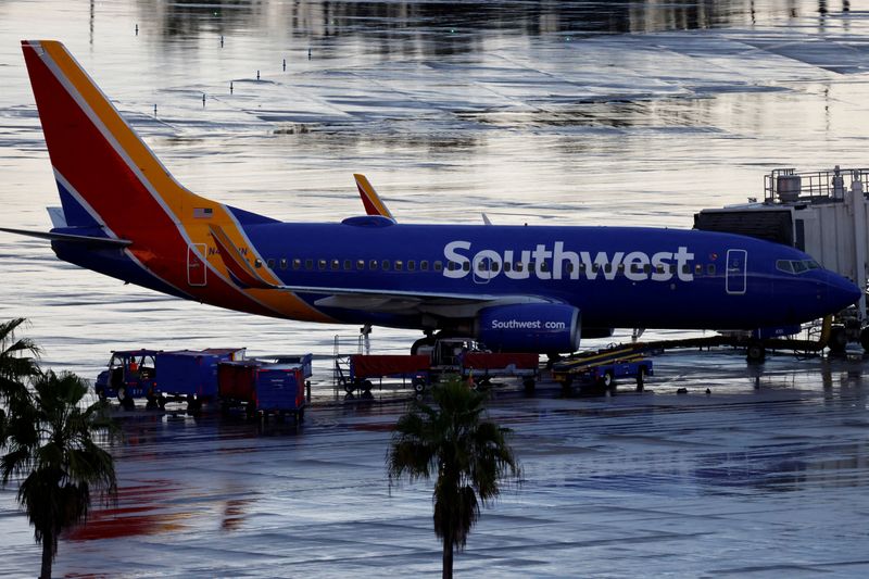 Southwest Airlines must face pilots' union lawsuit over threats
