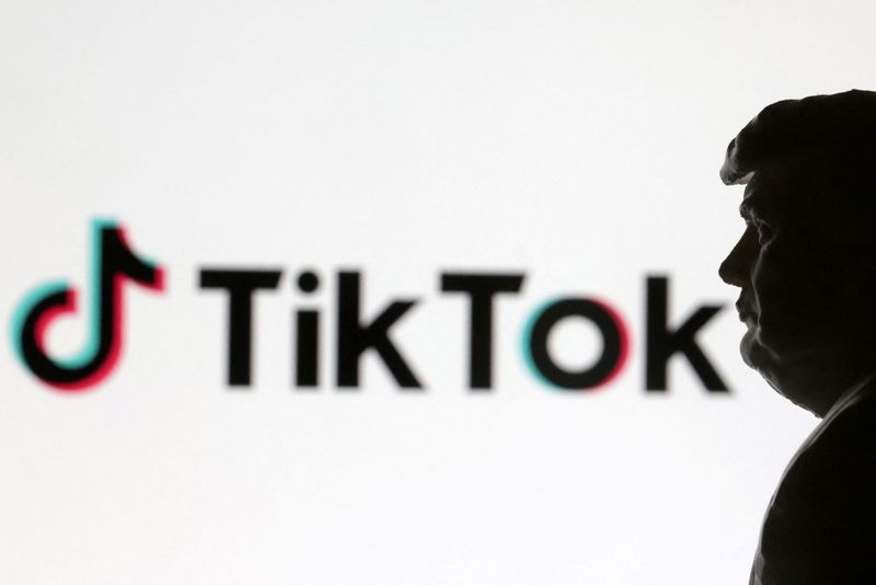 TikTok's fight against going dark gains support from key US lawmakers