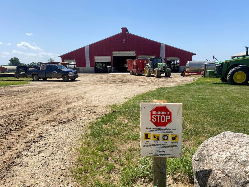 US farmers call for vaccine option to fight bird flu as wildfowl migration begins